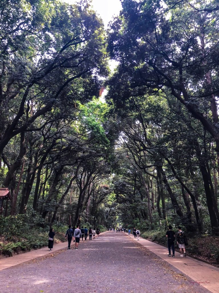 Tokyo Yoyogi Park