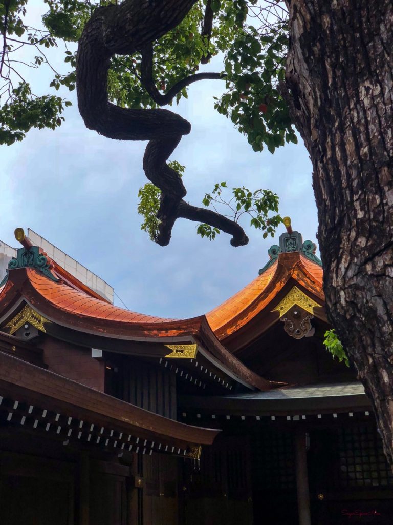 Tokyo Shrine