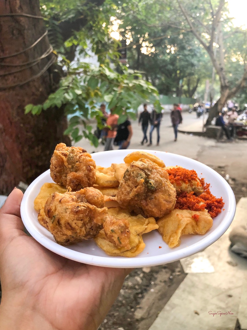 Pune Street food