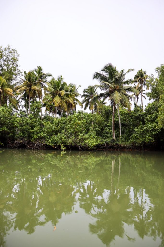 Poovar Resort